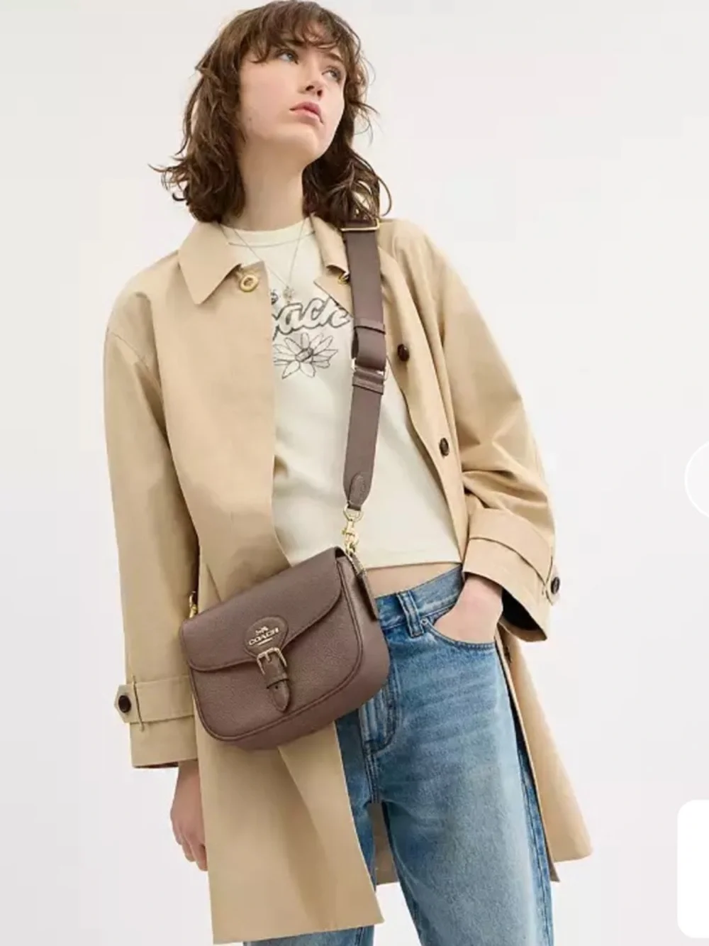 Coach Amelia Saddle Bag CP107 Dark Stone Pebble Leather Crossbody Gold Hardware - Picture 2 of 8